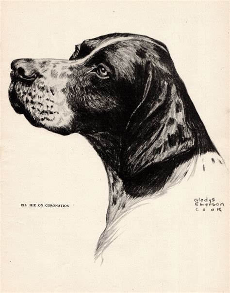 1945 Antique Pointer Dog Art Print Champion Hie On Coronation Etsy