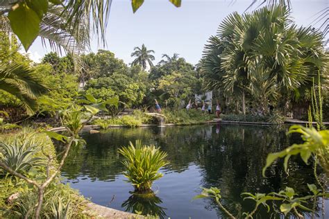 Miami Beach Botanical Garden Raymond Jungles Inc