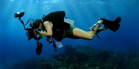Eight Scuba Diving Jobs You Can Get As A Padi Pro Gvi Uk