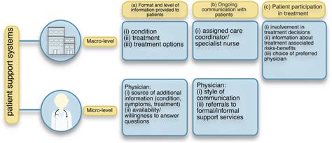 Operational Definition Of Patient Support Systems Support Is Defined