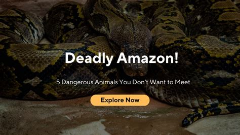 Deadly Amazon 5 Dangerous Animals You Dont Want To Meet Youtube