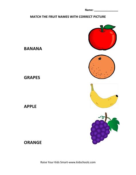 Match The Fruits Worksheets