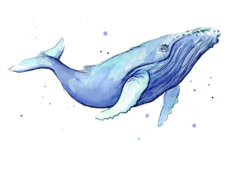 Whale Watercolor Painting Art And Collectibles Watercolor