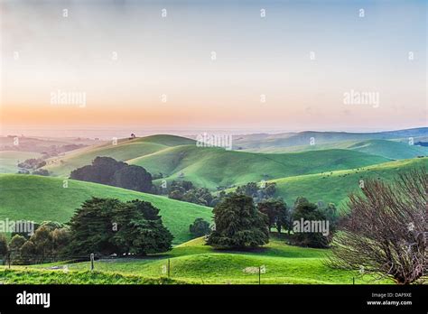 Lush Green Rolling Hills Of Farmland And Blue Skies In The Australian