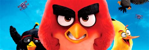 Angry Birds La Película 2016 Críticas Noticias Novedades Y