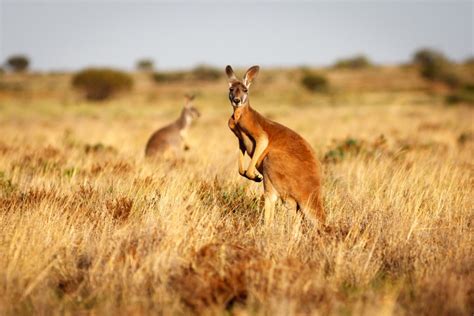 The Kimberley Australians Hidden Outback