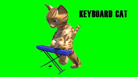 Keyboard Cat Green Screen Animated Youtube