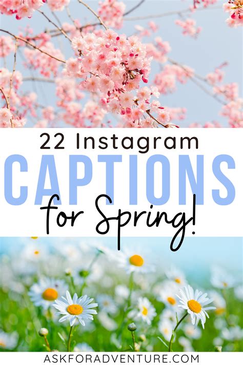 300 Spring Captions For Instagram Quotes Spring Break Captions