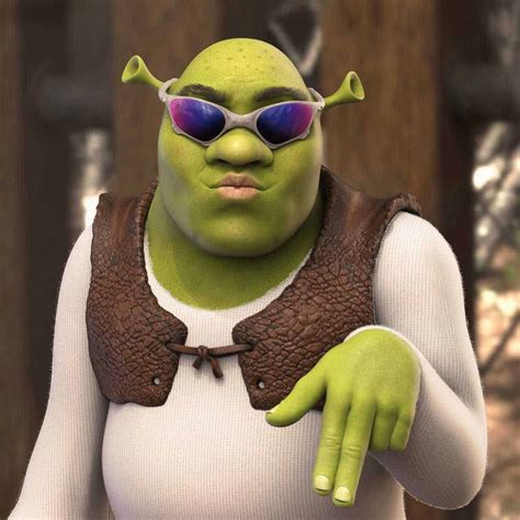The 23 Funniest Shrek Memes You Will Ever Seen Memes Feel