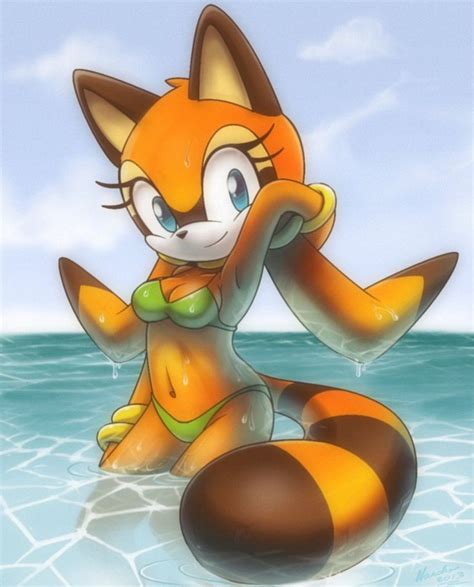 pin on sonic and tails
