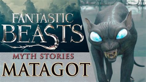Matagot Lore Of Fantastic Beasts Mythology In Harry Potter Ep 3