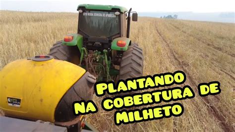 Plantio De Soja Em Cima Do Milheto Youtube