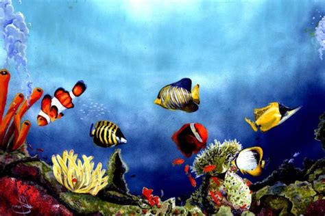 Ikan betutu dalam aquarium atau ikan bloso ini adalah nama sejenis ikan air tawar. Info Terkini 39+ Gambar Pemandangan Laut