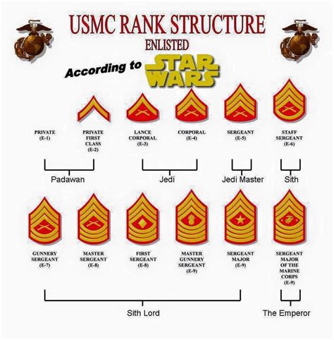 Rank Structure Usmc Ranks Military Humor Military Jokes