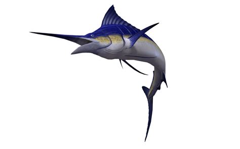 Marlin clipart flying, Marlin flying Transparent FREE for ...