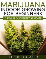 Pictures of Best Marijuana Fertilizer Indoor