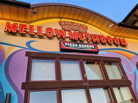 Mellow Mushroom Pigeon Forge 2485 Pkwy Menu Prices And Restaurant