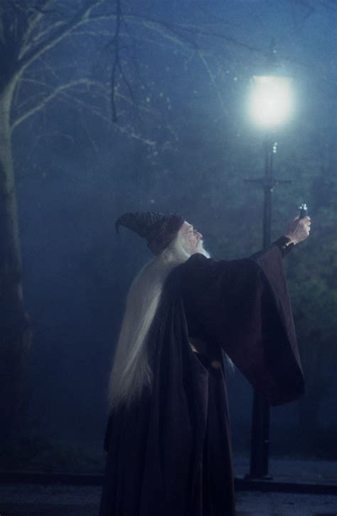 Imagen Dumbledore Harry Potter Wiki
