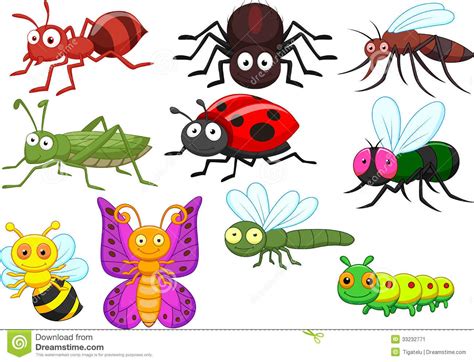 Insect Clipart Clipart Station