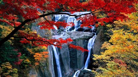 Waterfall Wallpapers And Screensavers 57 Images