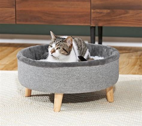 Kitten Bed Cozy Beds For Your Kittens To Snuggle Up On