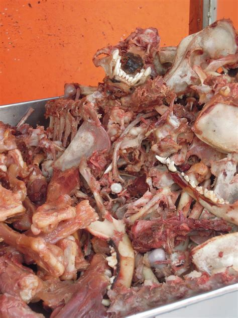 Maybe you would like to learn more about one of these? A Field Guide to Chinese Street Food: Dog Bones