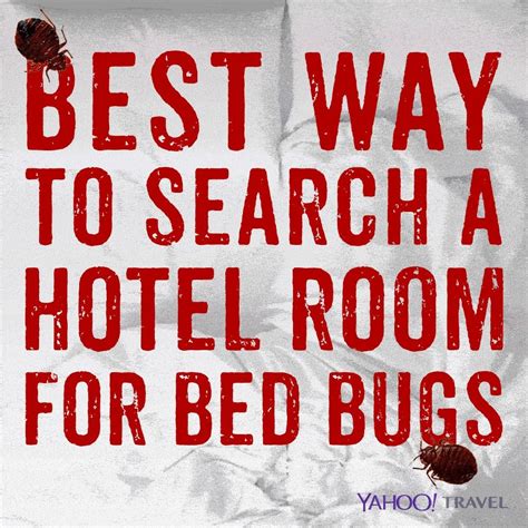 Best Way To Search A Hotel Room For Bedbugs Bed Bugs Hotel Room