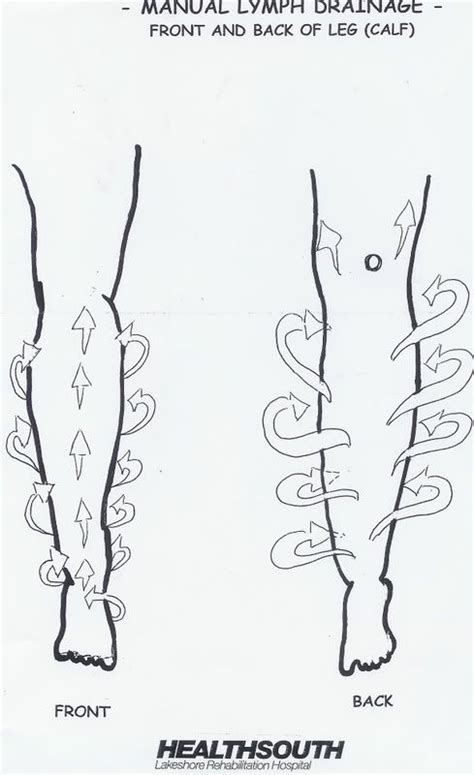 Lymphedema Drainage Back Manual Lymph Drainage Leg Illustrated
