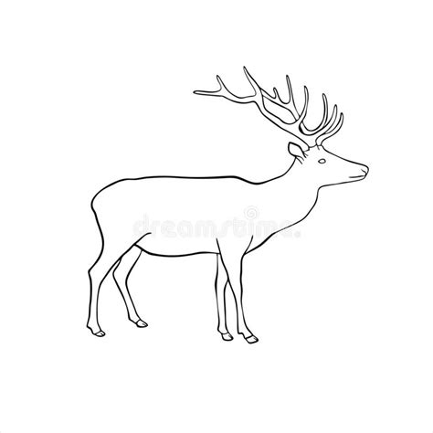 Deer Logo Reindeer Vector Logo Element Deer Design Icon Vector