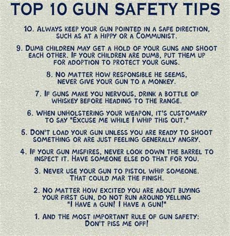 Most federal gun laws are found in the following acts: Top 10 Gun Safety Tips - Picture | eBaum's World