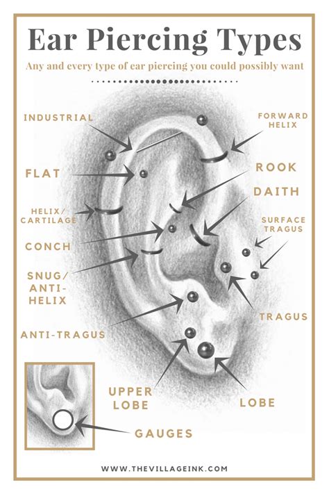 Ear Piercing Location Chart