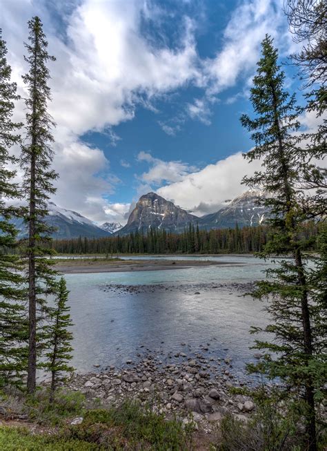 Snack Time Fryatt Valley Alberta Canada Rjjohnson Photography