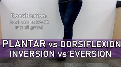 Plantar Flexion Vs Dorsiflexion Inversion Vs Eversion Youtube