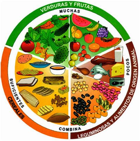 Dietas Balanceadas Una Dieta Balanceada Para Un Máximo Rendimiento En