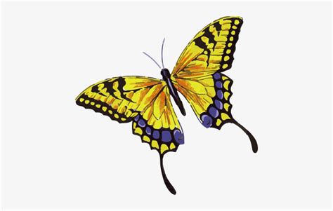 Beautiful Yellow Butterfly Tattoo With Purple Dots Yellow Purple