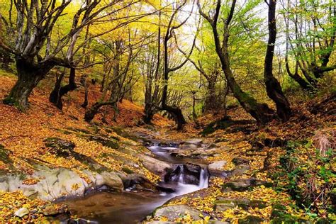 Top 5 Places To Take Pictures Of Smoky Mountains Fall Colors