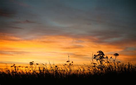 Dusk Hd Wallpaper 1680x1050 27024