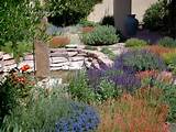 Pictures of Landscaping Xeriscape Ideas