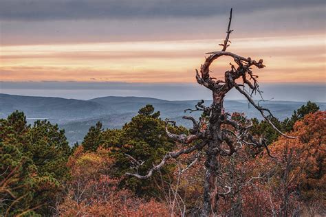 Rustic Oklahoma Ouachita Mountain Landscape Photograph By Gregory