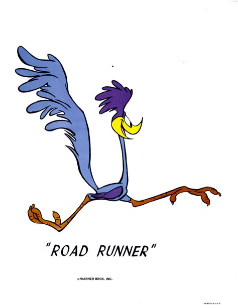 Roadrunner Cartoon Clipart Best