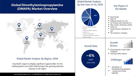 Dimethylaminopropylamine Market Size And Share Growth Forecasts 2036