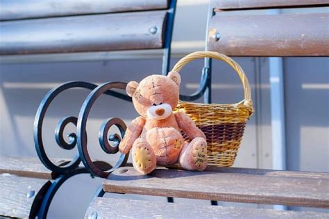 Teddy Bear Basket Bear Bench Park Hd Wallpaper Peakpx