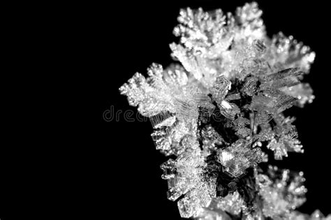 Crystals Snowflake Ice Frost Snow Stock Photo Image Of Background