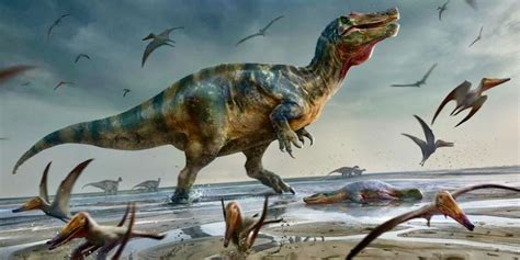 Europes Largest Predatory Dinosaur Found By Uk Fossil Hunter Raw Story