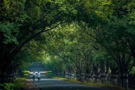 10 Coolest Places To Visit In Tamil Nadu During Summer Top