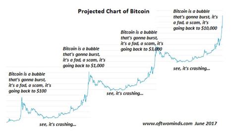 Looking solely at btc price movements in the market gives an incomplete view of why its price fluctuates the way it does, in a seemingly volatile manner, crosby said, adding: My Response to Mike Adams 'Bitcoin Bubble' — Steemit
