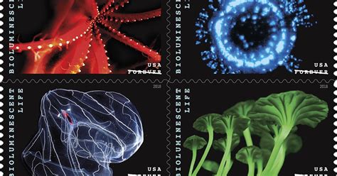 South Florida Postal Blog Bioluminescent Life Stamps Bring Ocean