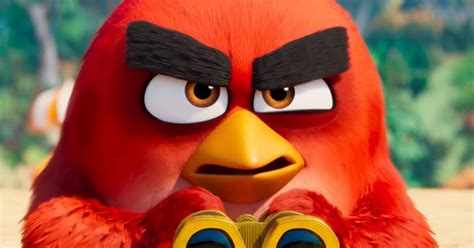 Video Angry Birds Llega A Netflix Con Nueva Serie Animada La Mega
