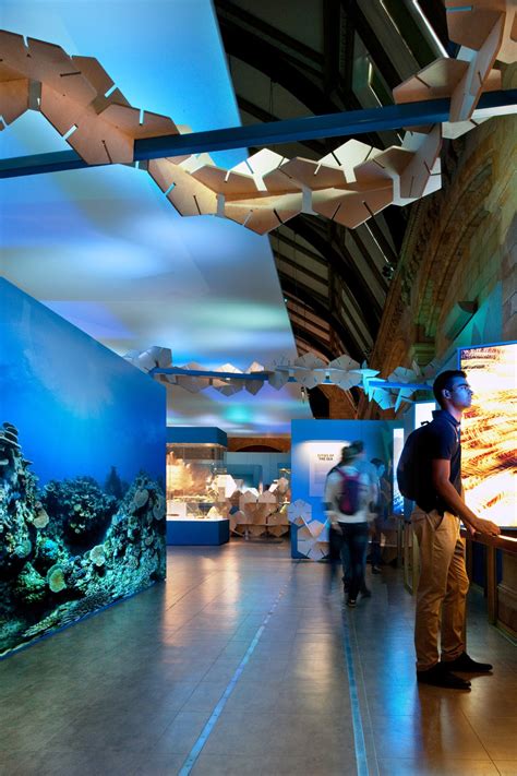 Coral Reefs Secret Cities Of The Sea Natural History Museum And