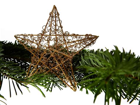 Free Images Branch Star Fir Lighting Decor Christmas Tree Twig